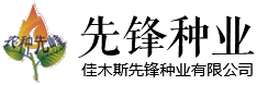 雨燕直播官網(wǎng)